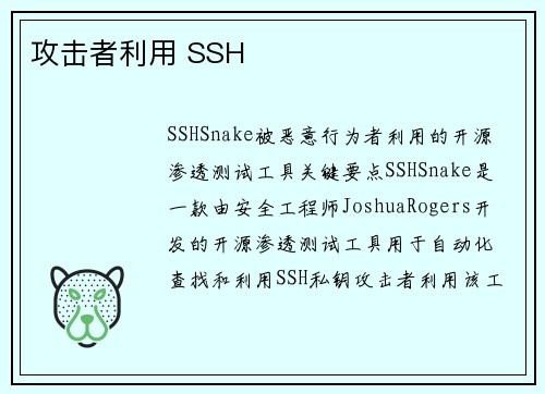 攻击者利用 SSH
