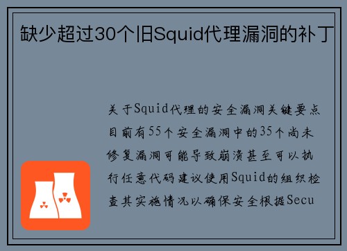 缺少超过30个旧Squid代理漏洞的补丁 